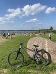 Sprzedam rower typu dirt