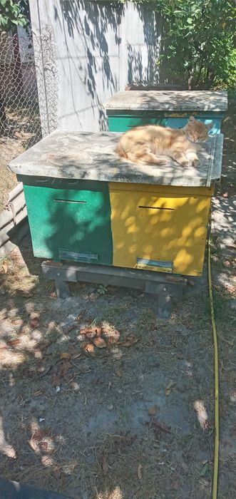 Продам 3-рамкову медогонку та вулики лежаки