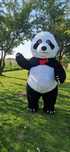 Panda maskotka na imprezę urodziny