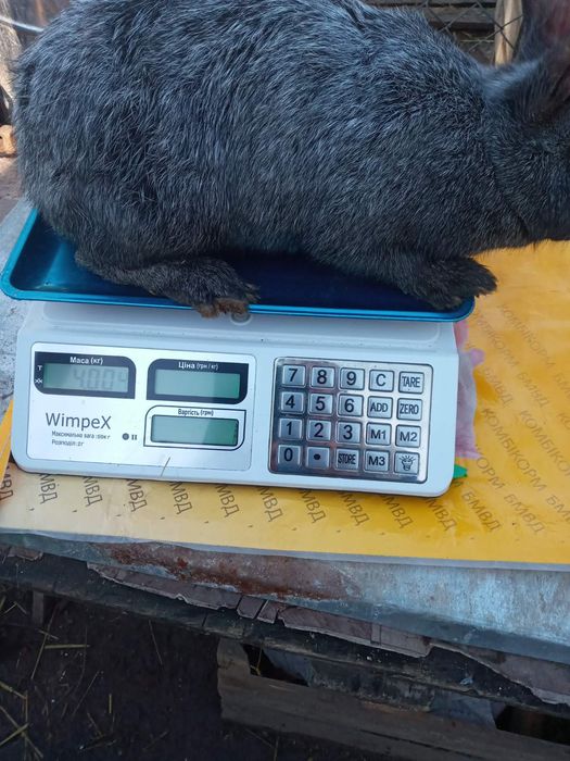 Продам полтавське срібло