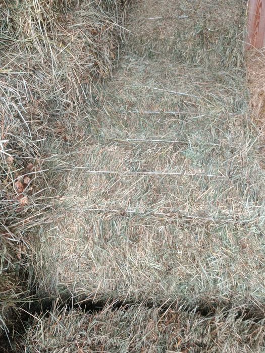 Продам отаву сіно в тюках