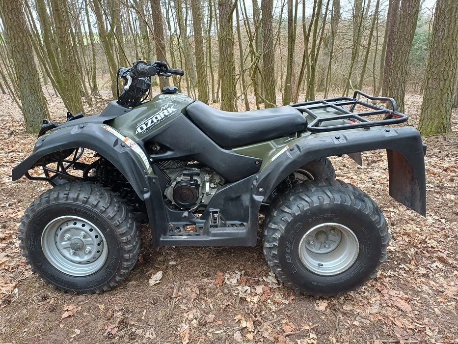 Quad Suzuki Ozark Quadrunner 250, 2018r.