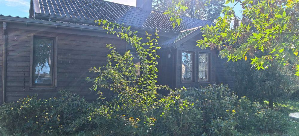 Klimatyczny dom na wsi na dużej działce z ogrodem - 10km od Łęczycy