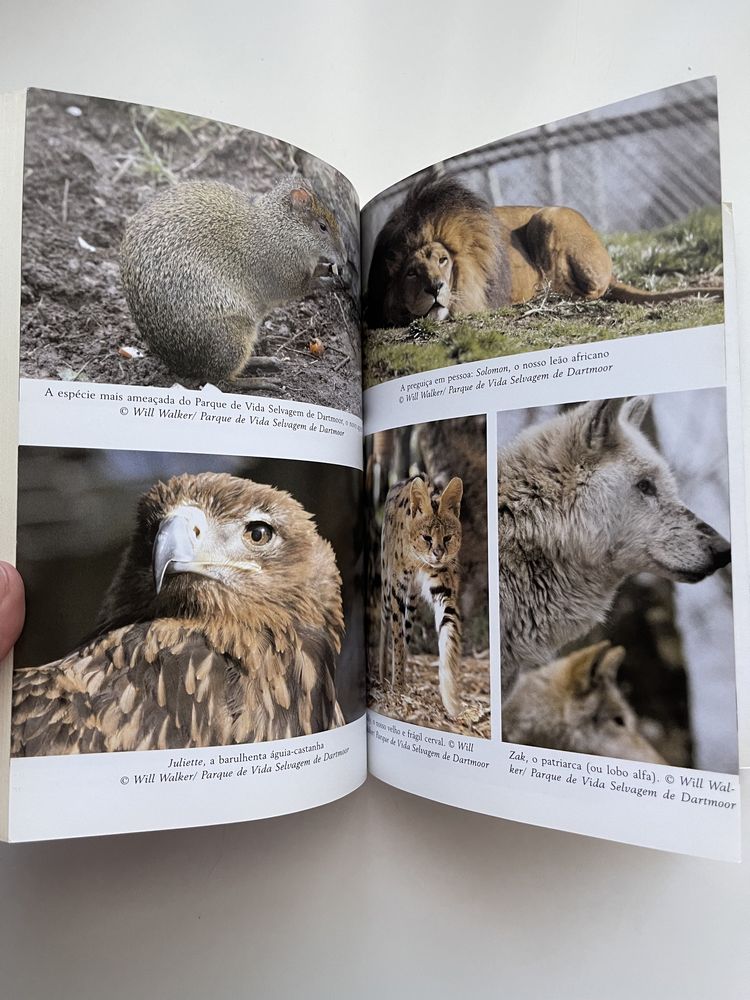 Livro “Querida, Comprei um Zoo!”