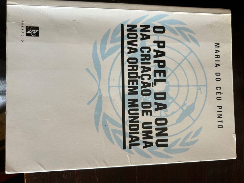 O Papel da ONU - Maria do Céu Pinto