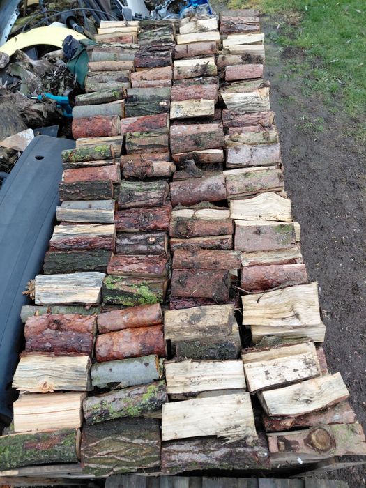 Drzewo opałowe  2,5 metra