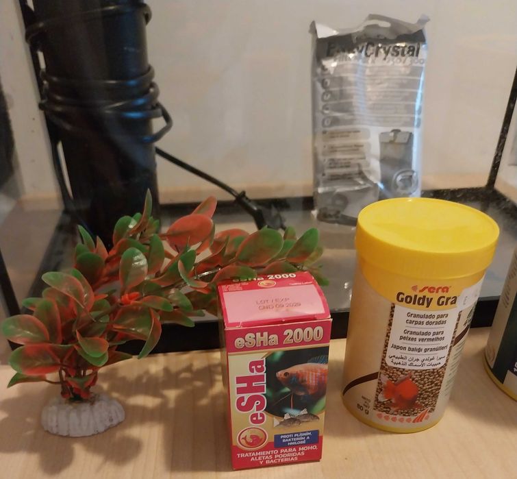 Aquario Vidro para Peixes + Filtro + Comida + Produtos + Decoração