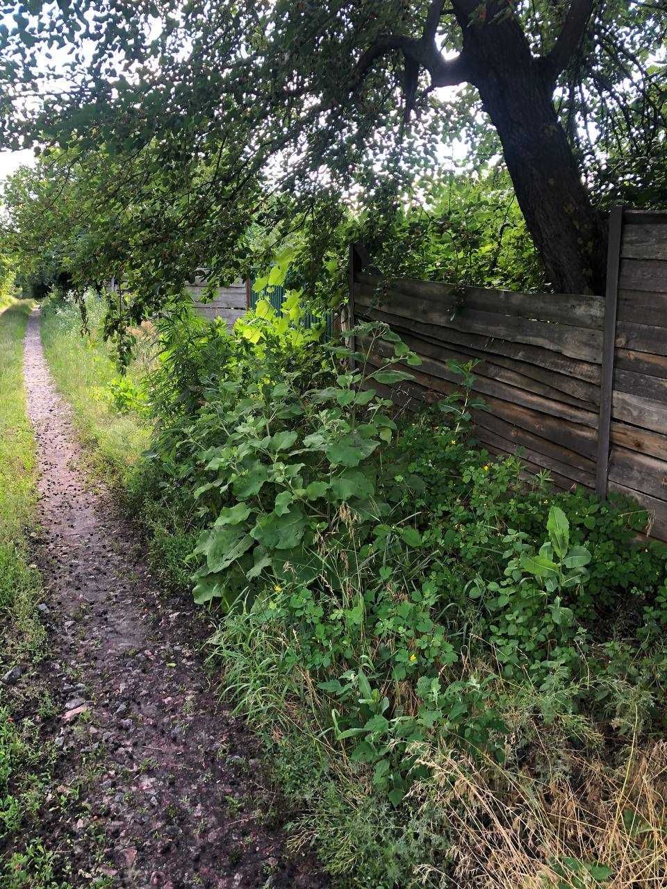 Будинок в київській області