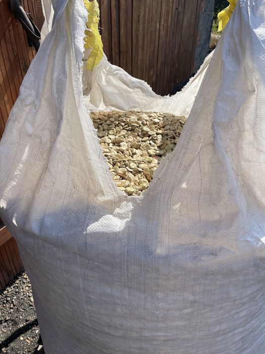 Bób Rambos sprzedam