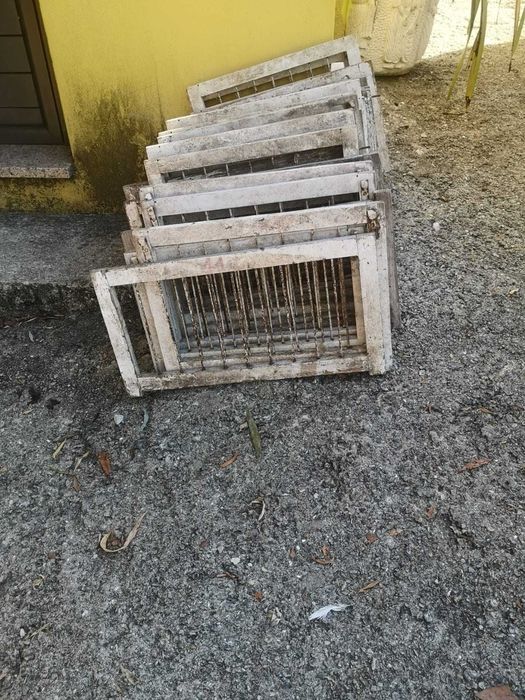 portas de casulos para pombos