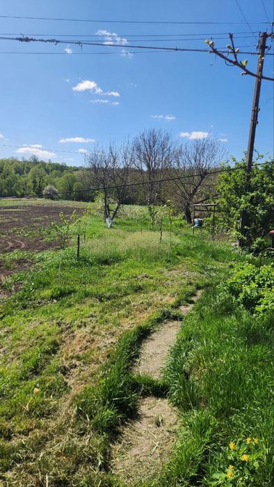 Продаються будинки !