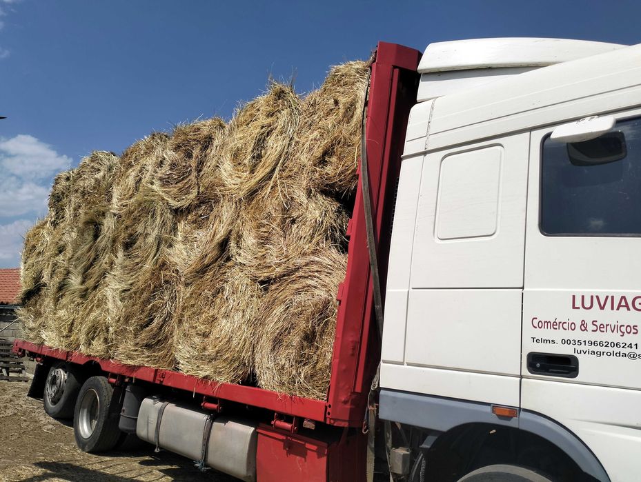 Feno de lameiro e palha
