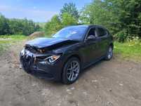 Alfa Romeo Stelvio, 2.0 4x4 AWD, full opcja. Auto w kraju