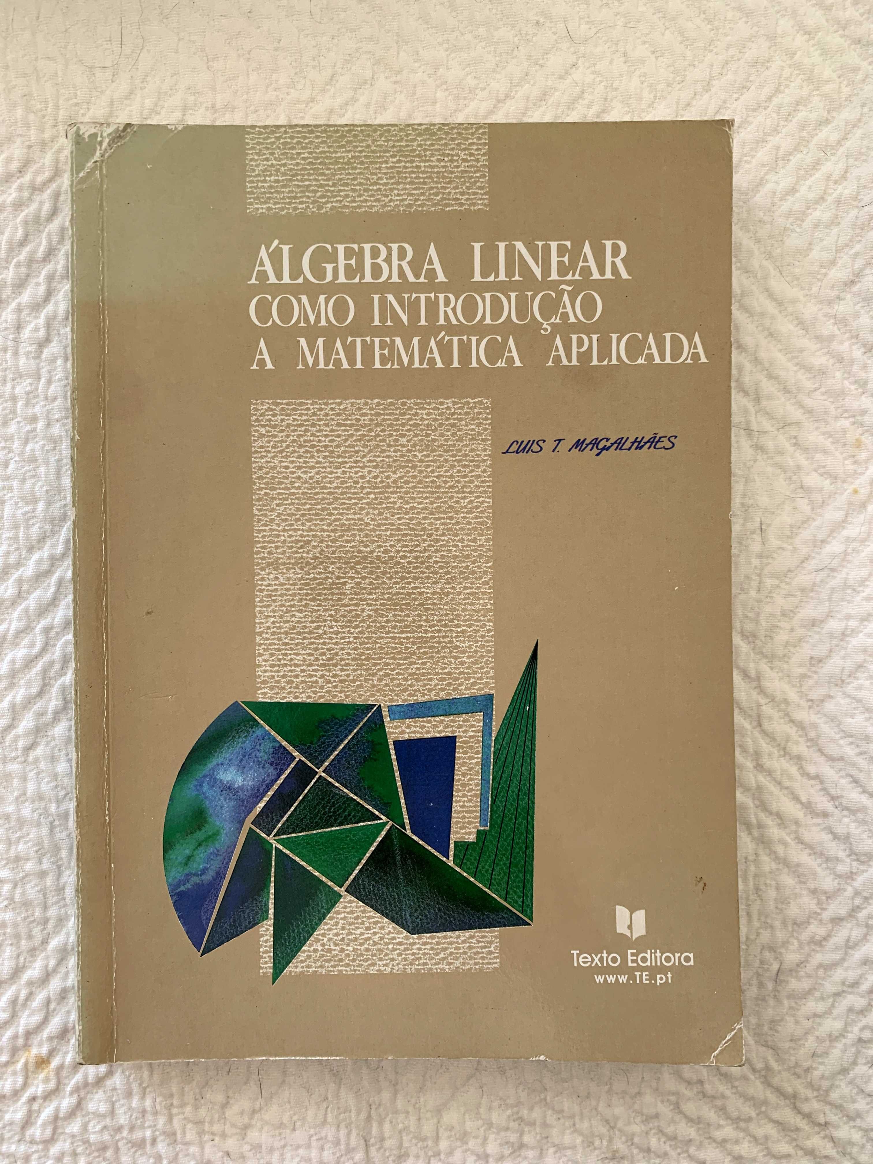 Álgebra Linear Como Introducao a Matematica Aplicada Luis T Magalhaes