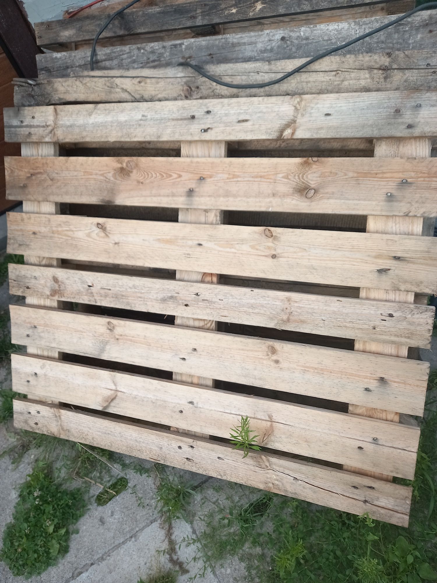 Palety nie euro 1000x1200
