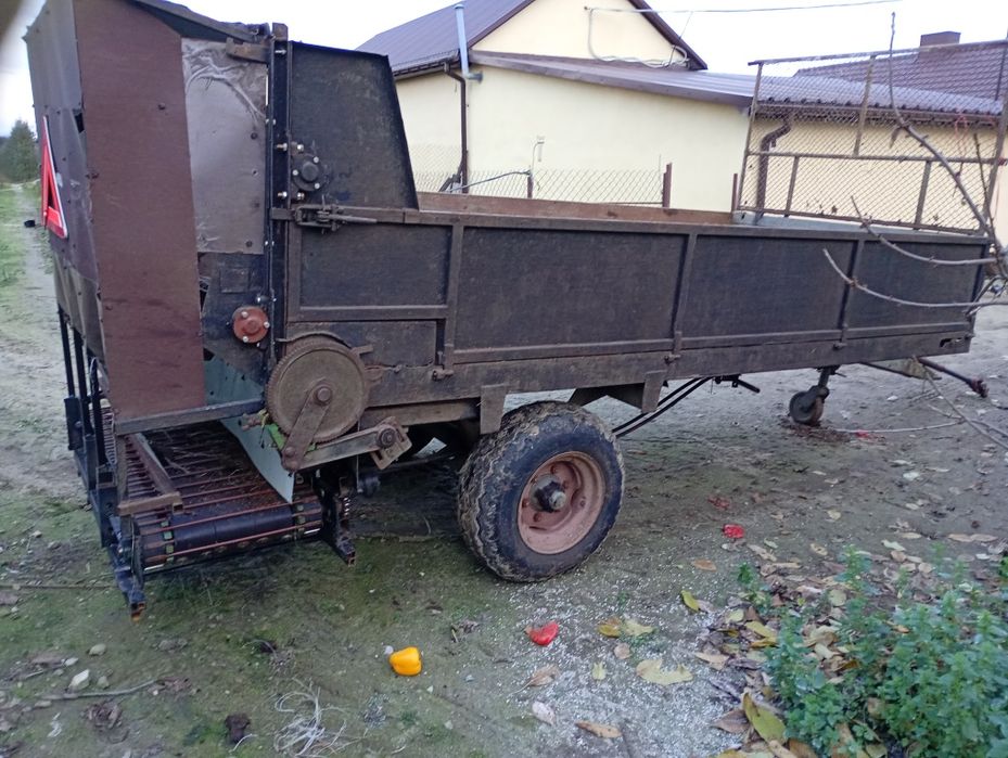 Rozrzutnik sadowniczy. Do podłoża pieczarkowego trociny