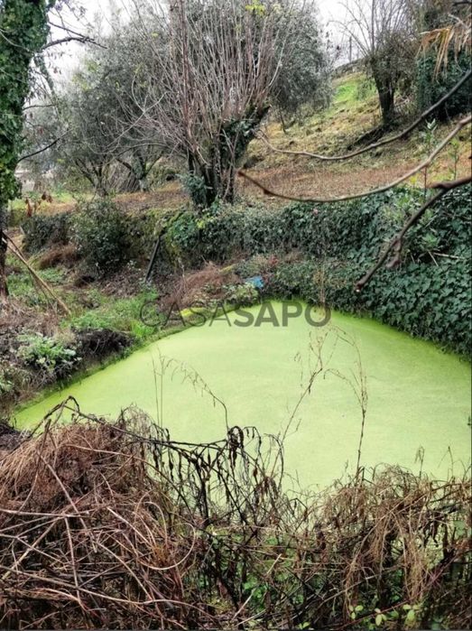 Quinta com 13.625 m² em Cepões - Lamego, junto à A24