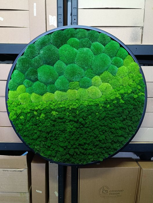 Панно з Моху. Декор з Мохом. Фітокартина зі Стабілізованим Мохом