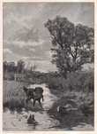 Schmitzberger: Polowanie na kaczki. Drzeworyt myśliwski 1903 r. orygin