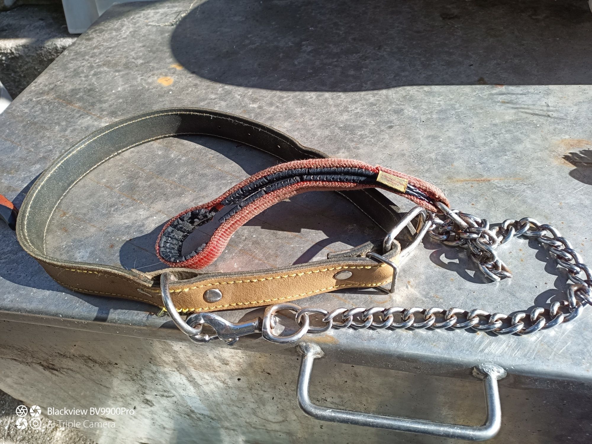 5 utensílios para cão de grande porte