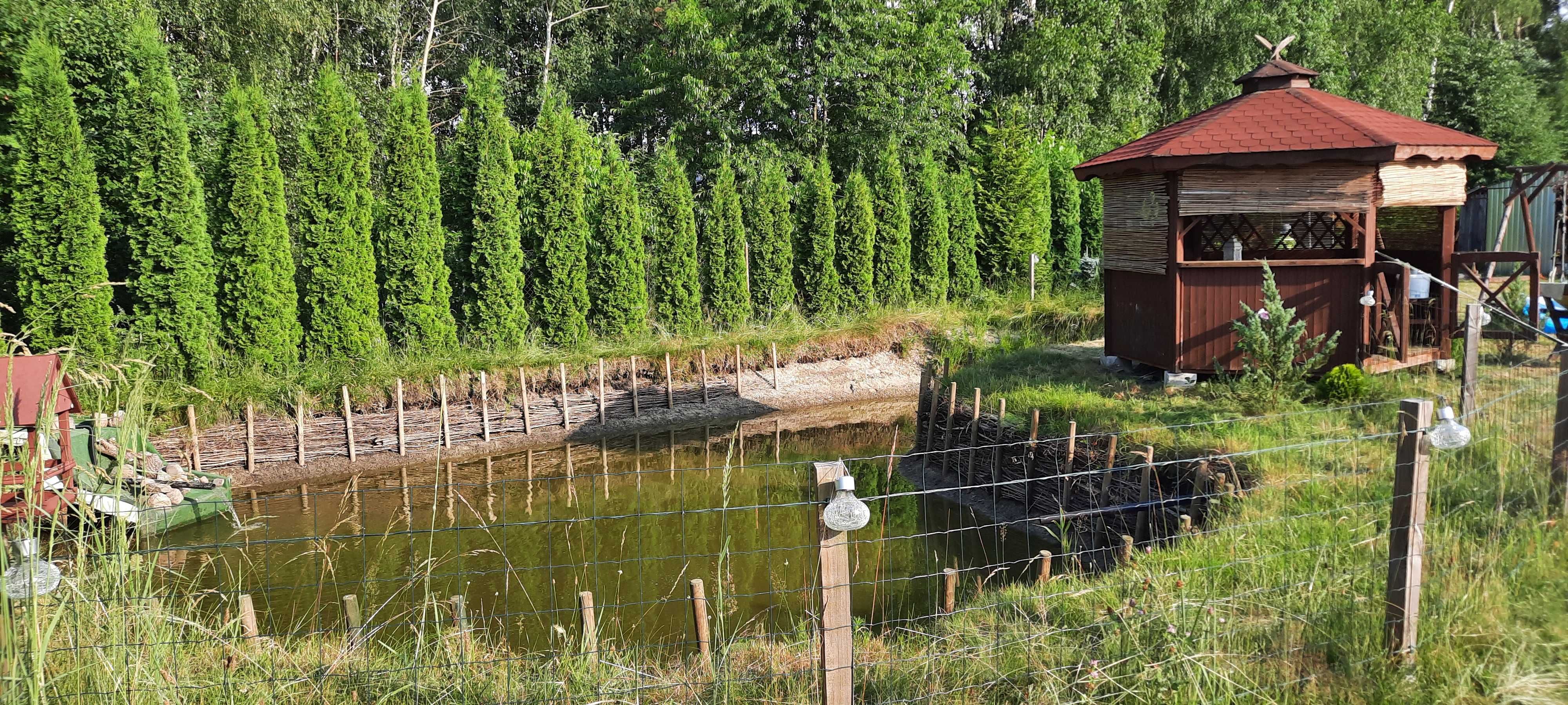 Sprzedam działkę 1255m2 z domkiem 70m2, winnica, staw ziemianka, garaż