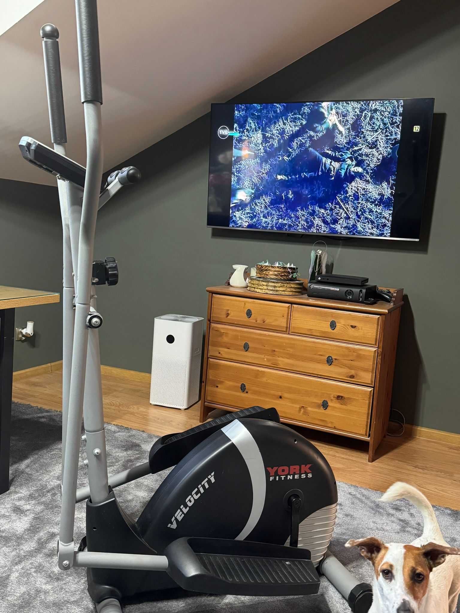 Orbitrek York Fitness
