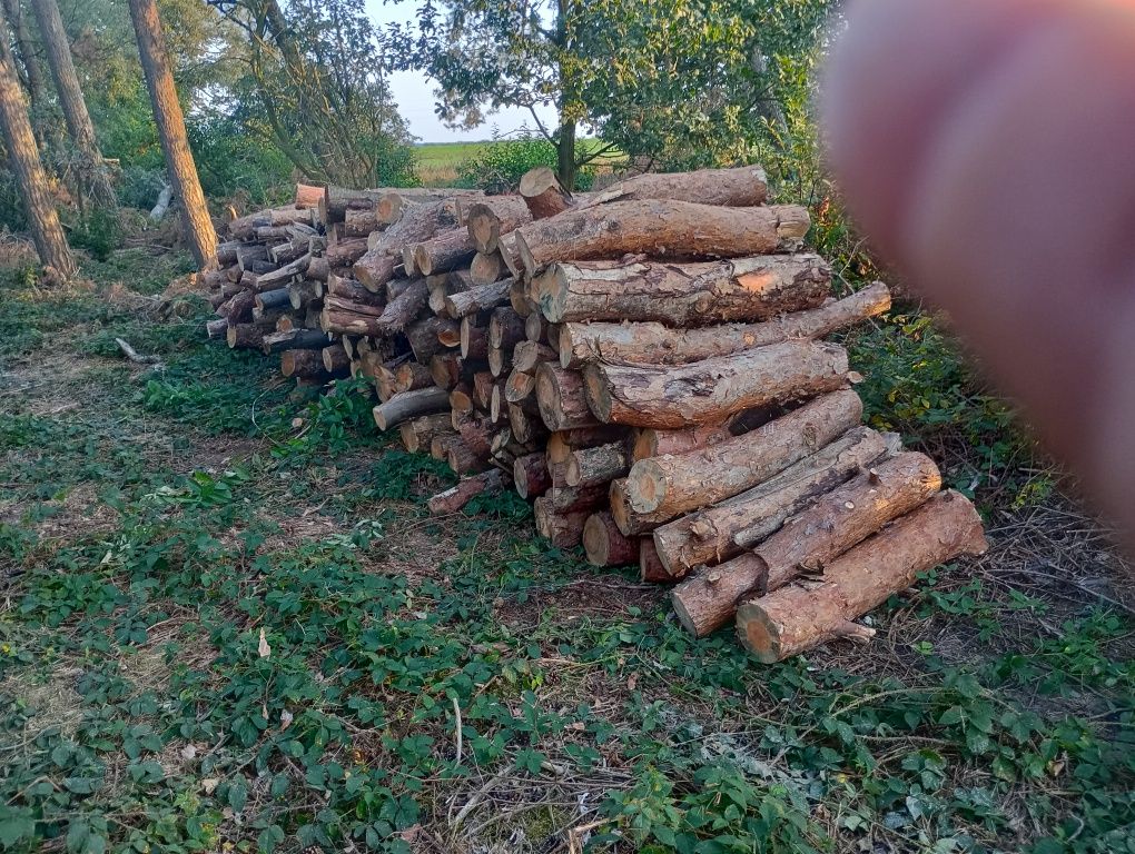Drewno opałowe .