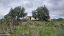 Quinta T3 em Luzianes-Gare de 119,00 m2