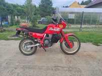 Honda NX650 Dominator A2 (Rezerwacja)
