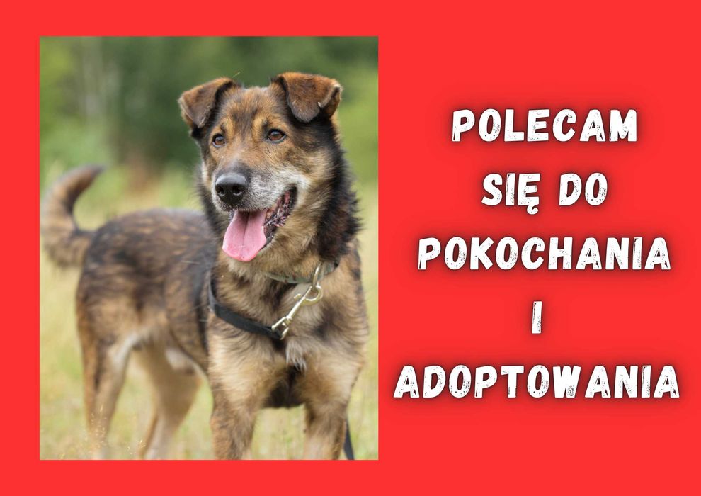 GAZIO - marzy o nowym domu i rodzinie :)