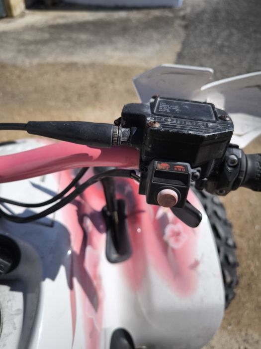 Vendo Polaris 400 4x2 e 4x4