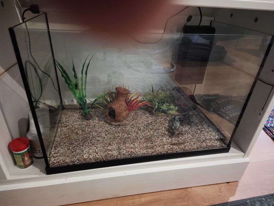 Aquário  com acessórios