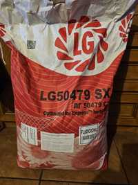 Słonecznik LG 50479 SX Limagrain