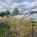 Tunel foliowy / tunele foliowe  7x30