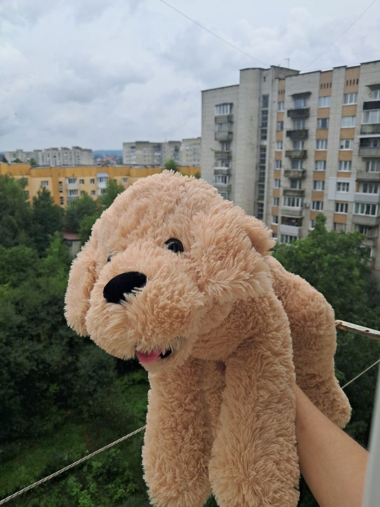Велика м'яка іграшка собака