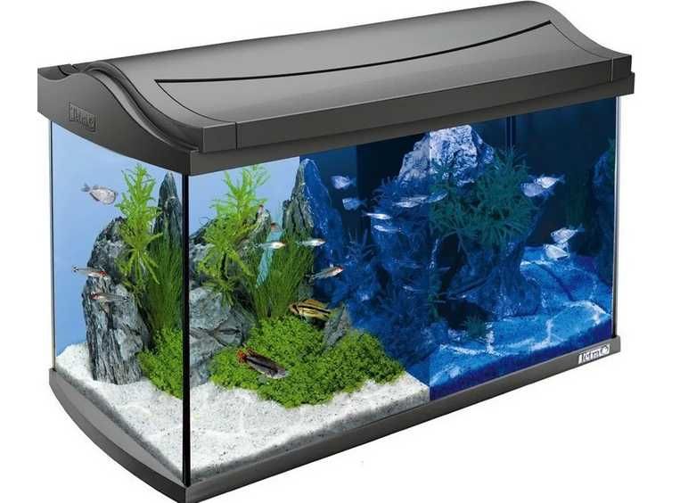 Zestaw akwariowy Tetra AquaArt  - 60 l z życiem