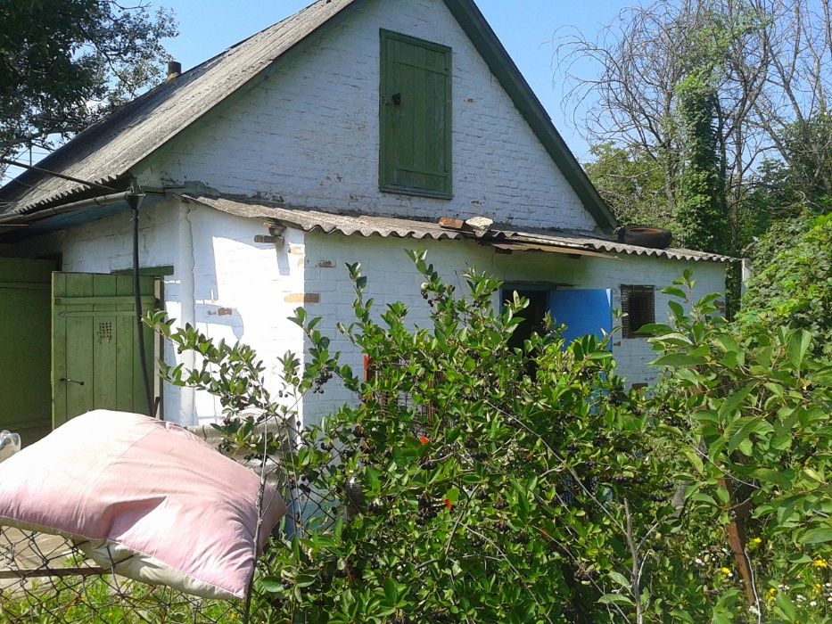 Житловий будинок в селі Косарі