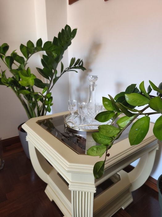 Mesa de centro - sala de estar