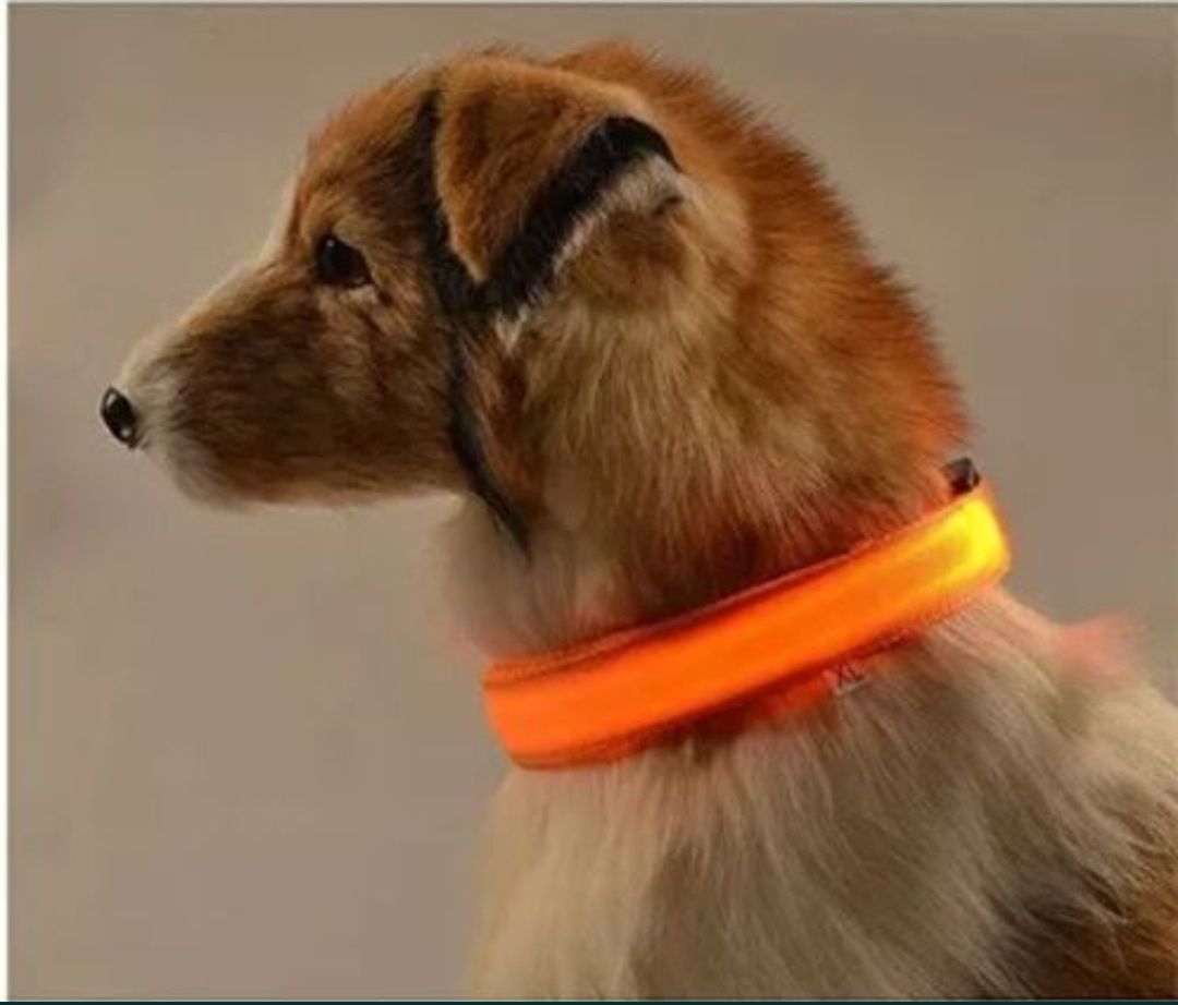 LED ошейник для собаки/кота (оранжевый) с аккумулятором