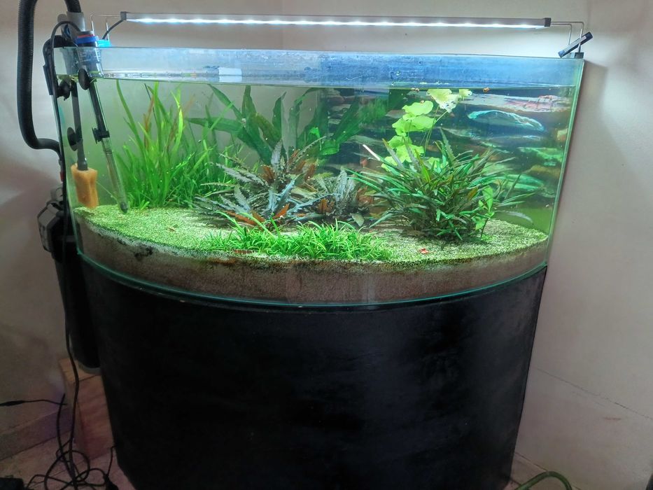 Aquário 180L kit completo