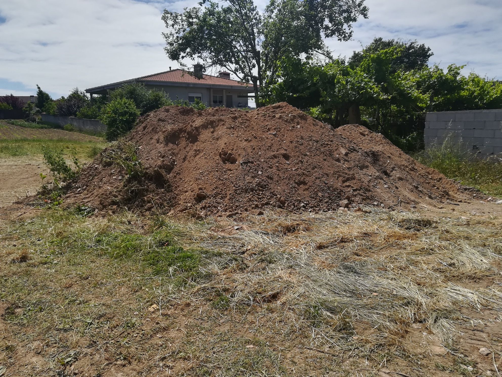 Ofereço.   Terra