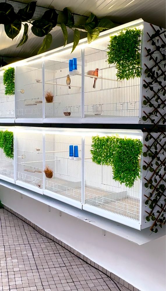 2 viveiros de 4 metros cada um com 12 buracos