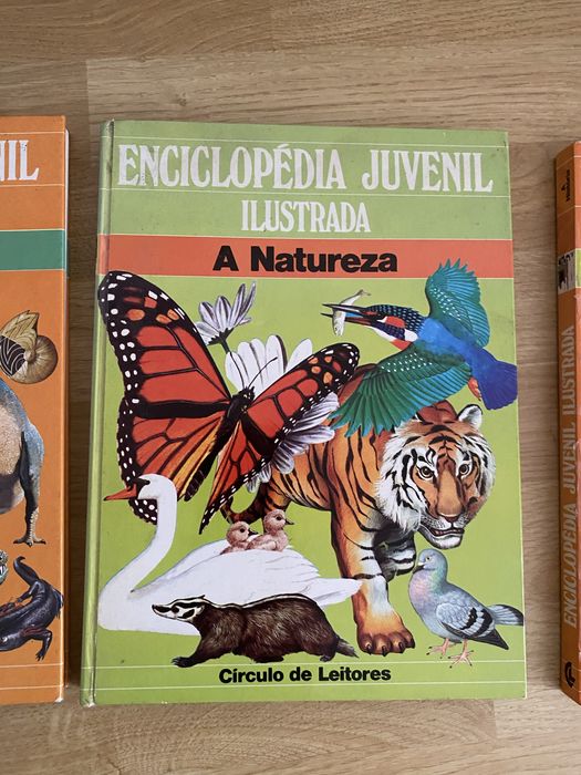 Enciclopédia Juvenil