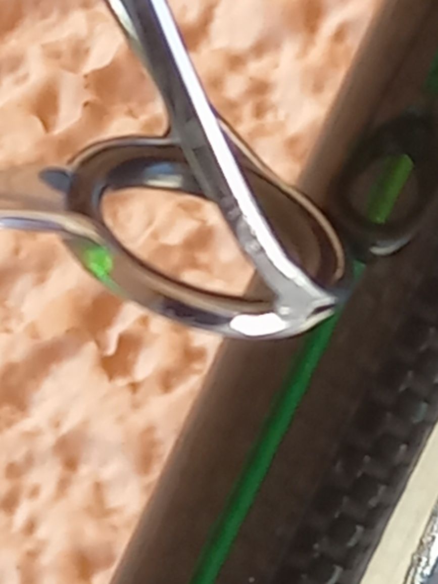 Cana Vercelli Enygma Maculata