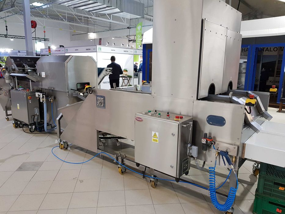 Maszyna do obierania cebuli, obcinarka końcówek cebuli