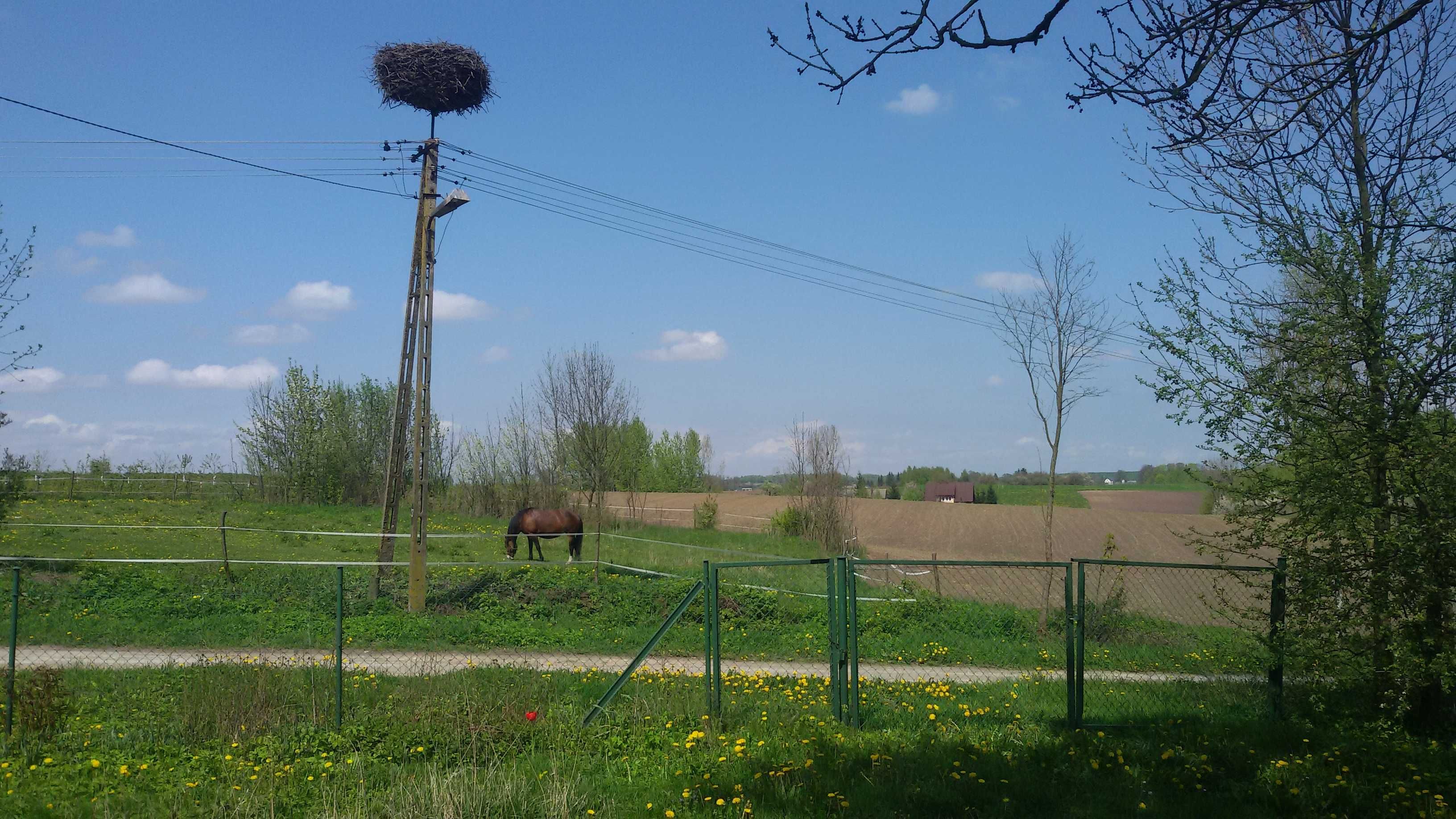 Atrakcyjny dom na Roztoczu z działką. NOWA NIŻSZA CENA!