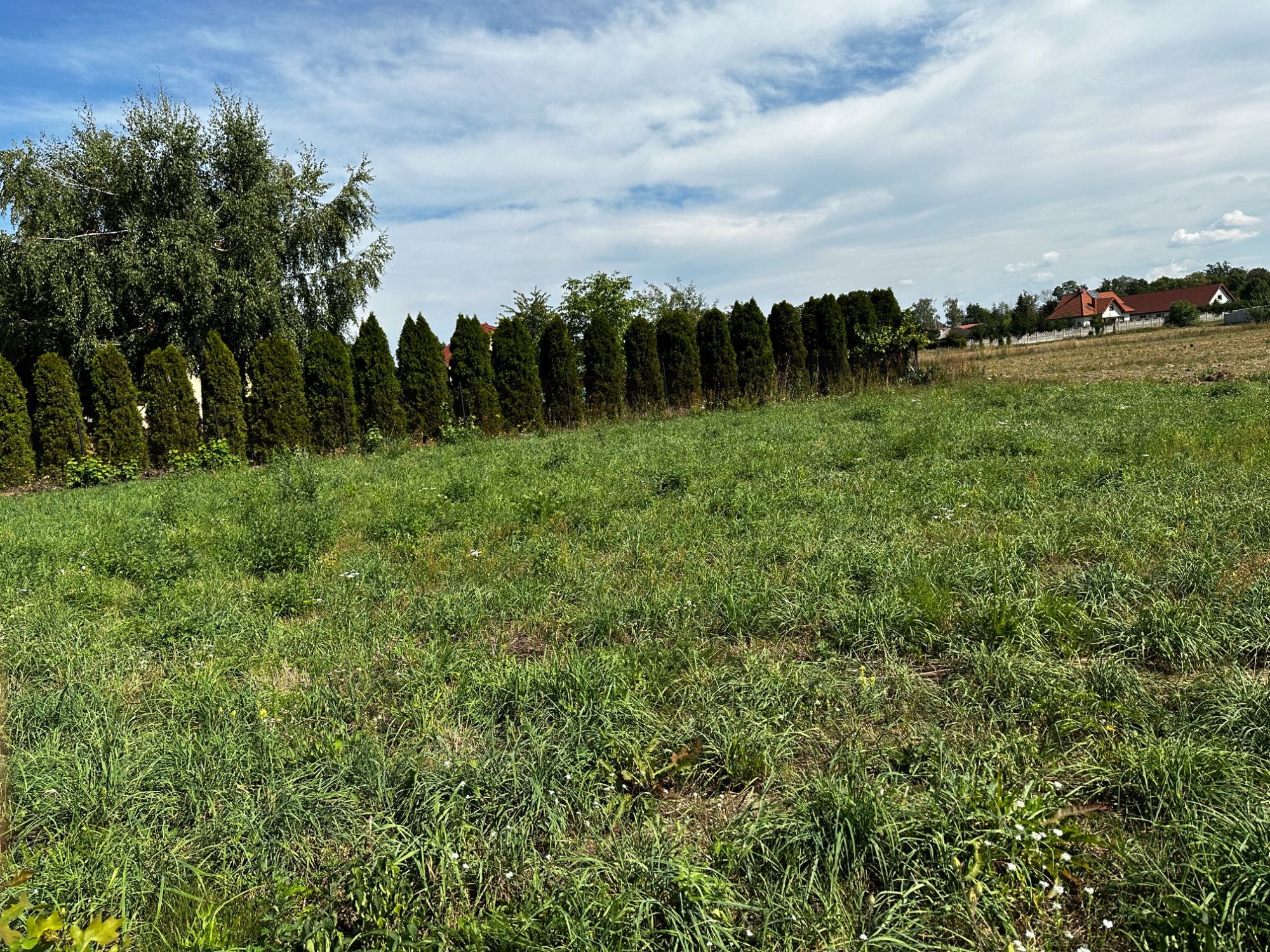 Działka budowlana Przasnysz ul. Tuwima 988m2