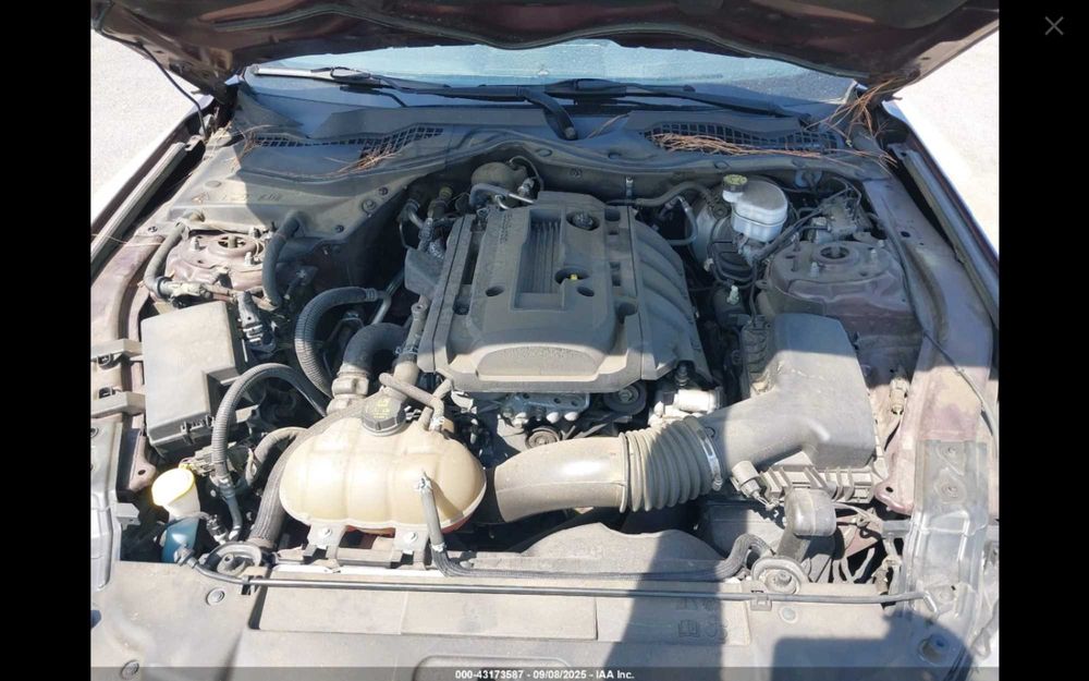 Ford Mustang 2.3 EcoBoost 289KM - w drodze do Polski
