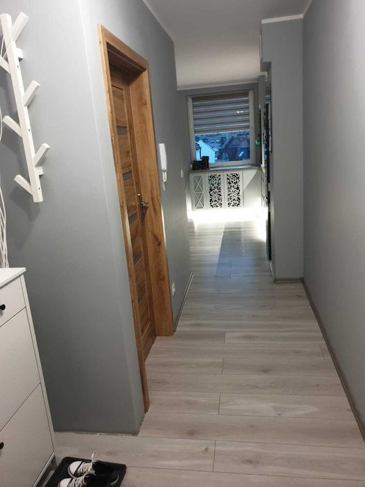 Mieszkanie do wynajęcia