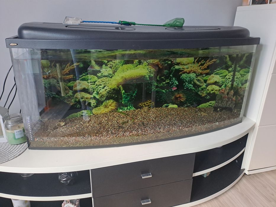 Akwarium 240l komplet